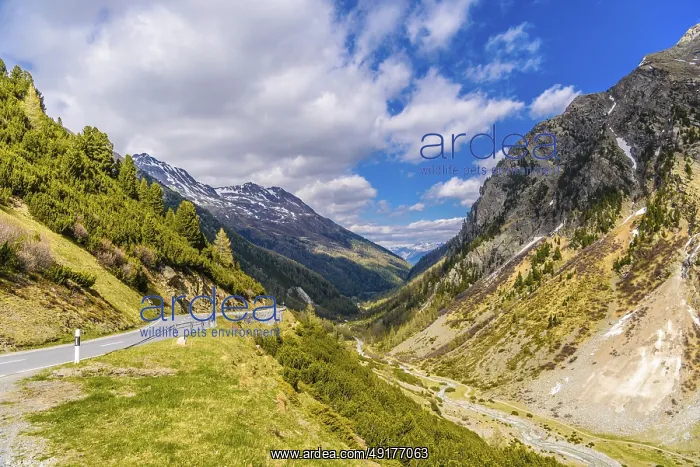 : Mountain river in Alps covered with snow : Mountain river in Alps covered with snow