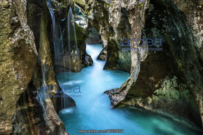 : Mountain river Soca flows through narrow canyon : Mountain river Soca flows through narrow canyon