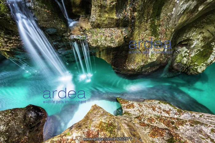 : Mountain river Soca flows through narrow canyon : Mountain river Soca flows through narrow canyon