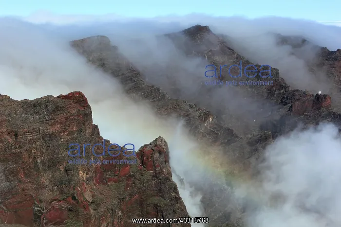 : On the mountain Roque de los Muchachos in the national : On the mountain Roque de los Muchachos in the national