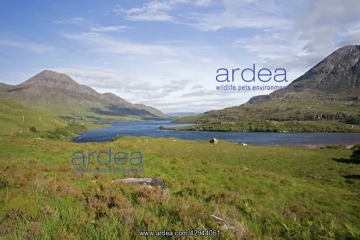 : Mountain scenery : Mountain scenery