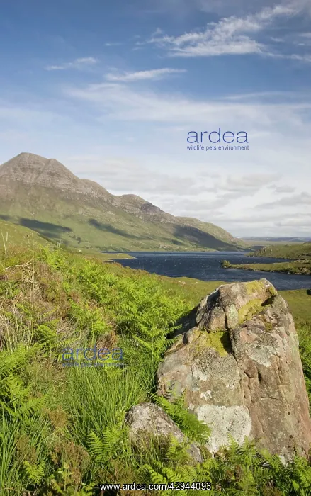 : Mountain scenery : Mountain scenery