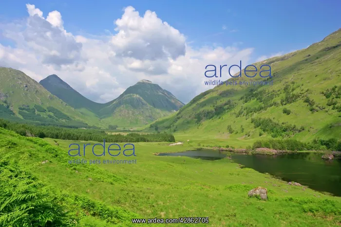 : Mountain scenery - Buachaille Etive Beag and Mor : Mountain scenery - Buachaille Etive Beag and Mor