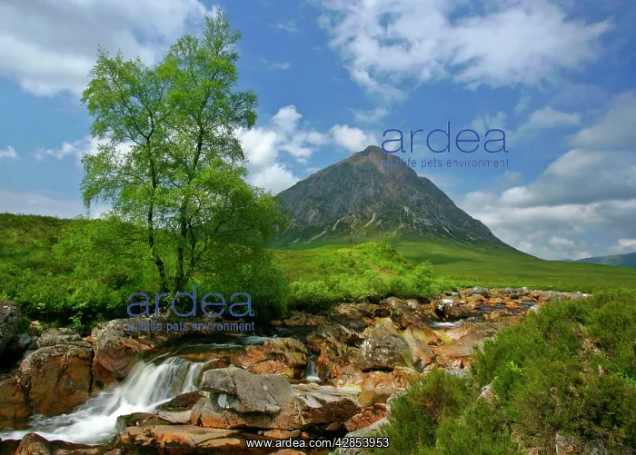 : Mountain scenery - Buachaille Etive Mor and Coupal : Mountain scenery - Buachaille Etive Mor and Coupal