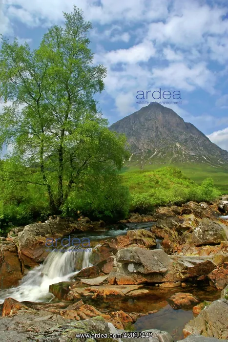 : Mountain scenery - Buachaille Etive Mor and Coupal : Mountain scenery - Buachaille Etive Mor and Coupal