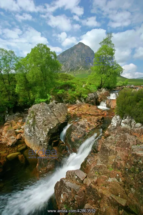 : Mountain scenery - Buachaille Etive Mor and waterfalls : Mountain scenery - Buachaille Etive Mor and waterfalls