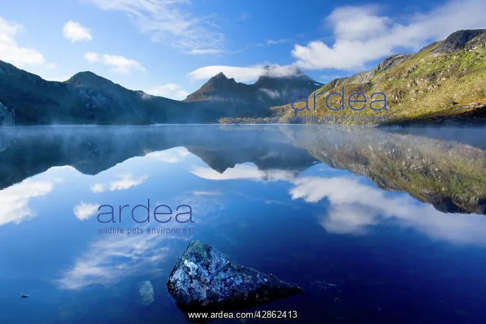 : Mountain scenery - Dove Lake in front of massive : Mountain scenery - Dove Lake in front of massive