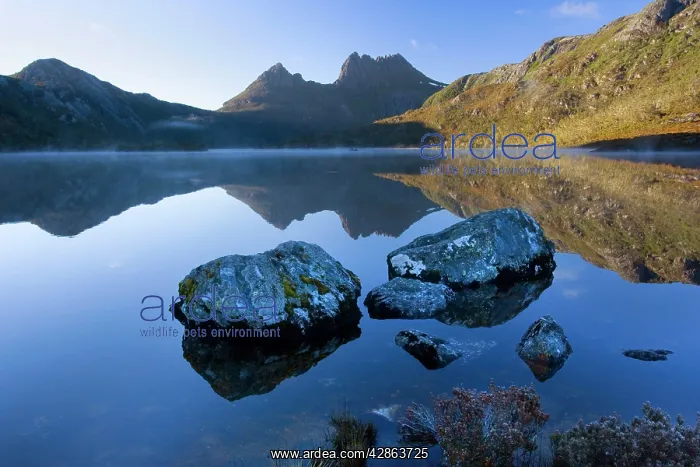 : Mountain scenery - Dove Lake in front of massive : Mountain scenery - Dove Lake in front of massive