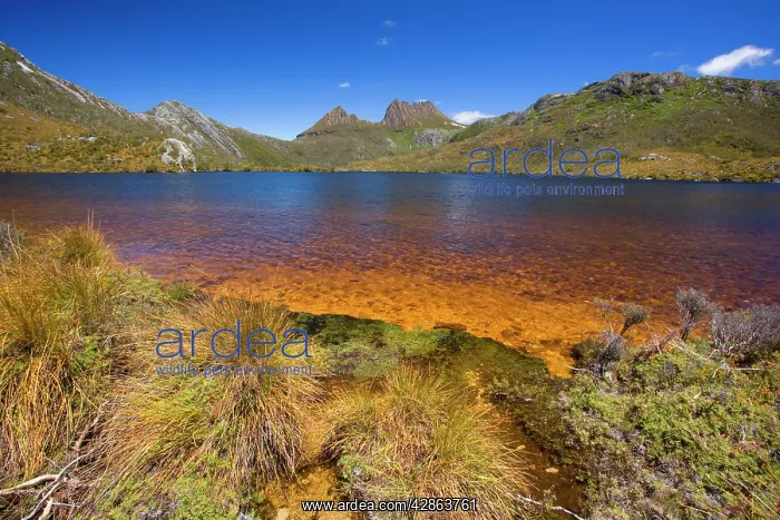 : Mountain scenery - Dove Lake in front of massive : Mountain scenery - Dove Lake in front of massive