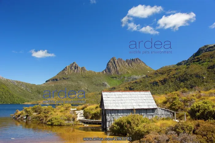 : Mountain scenery - Dove Lake in front of massive : Mountain scenery - Dove Lake in front of massive