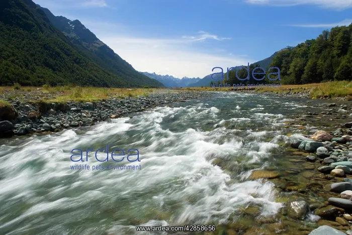 : Mountain scenery - Eglinton river flowing down : Mountain scenery - Eglinton river flowing down