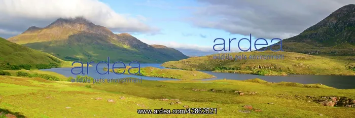 : Mountain scenery - Loch Lurgainn and Cul Beag with : Mountain scenery - Loch Lurgainn and Cul Beag with