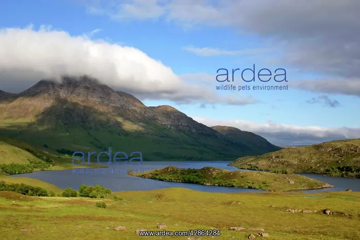 : Mountain scenery - Loch Lurgainn and Cul Beag with : Mountain scenery - Loch Lurgainn and Cul Beag with