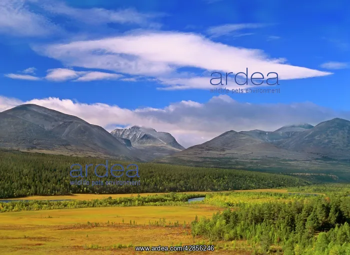 : Mountain scenery - mountains of Rondane National : Mountain scenery - mountains of Rondane National