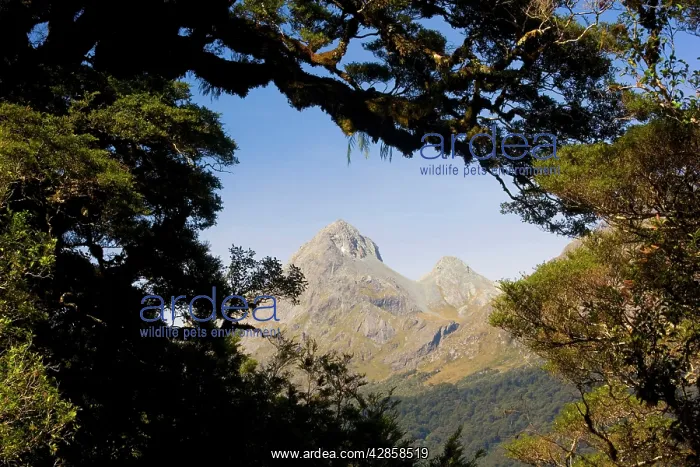 : Mountain scenery - peak of a mountain seen through : Mountain scenery - peak of a mountain seen through