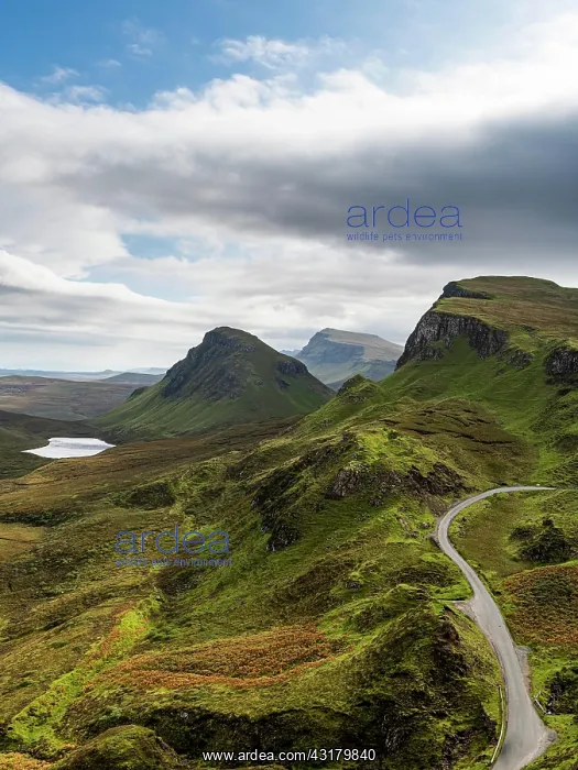 : Mountain scenery, Quiraing landslip, Isle of Skye : Mountain scenery, Quiraing landslip, Isle of Skye