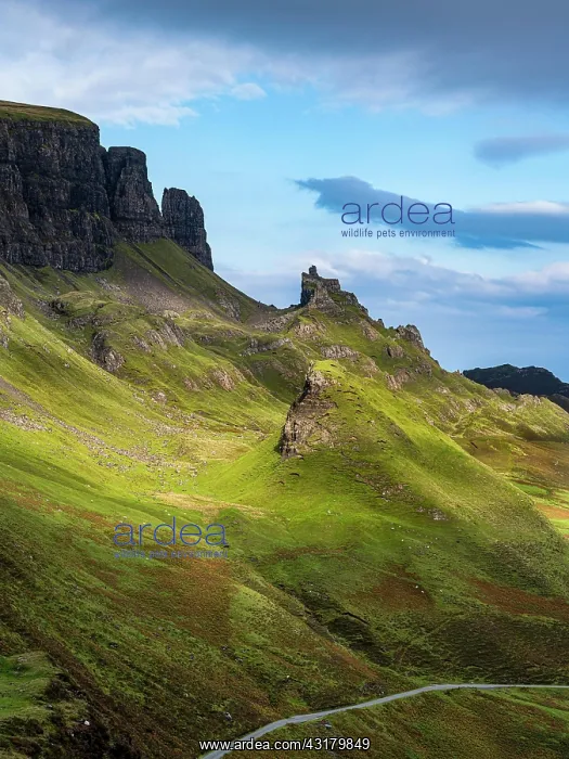 : Mountain scenery, Quiraing landslip, Isle of Skye : Mountain scenery, Quiraing landslip, Isle of Skye
