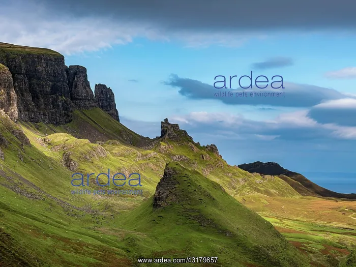 : Mountain scenery, Quiraing landslip, Isle of Skye : Mountain scenery, Quiraing landslip, Isle of Skye