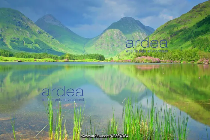 : Mountain Scenery - reflection of Buachaille Etive : Mountain Scenery - reflection of Buachaille Etive