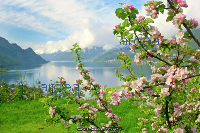 : Mountain scenery - stunning view of snow-covered : Mountain scenery - stunning view of snow-covered