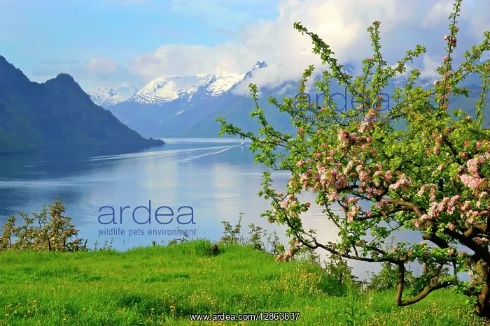 : Mountain scenery - stunning view of snow-covered : Mountain scenery - stunning view of snow-covered
