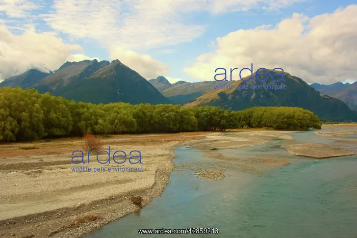 : Mountain Scenery - valley of Dart River and surrounding : Mountain Scenery - valley of Dart River and surrounding