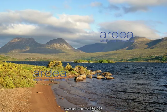 : Mountain scenery - view from the shores of Loch : Mountain scenery - view from the shores of Loch