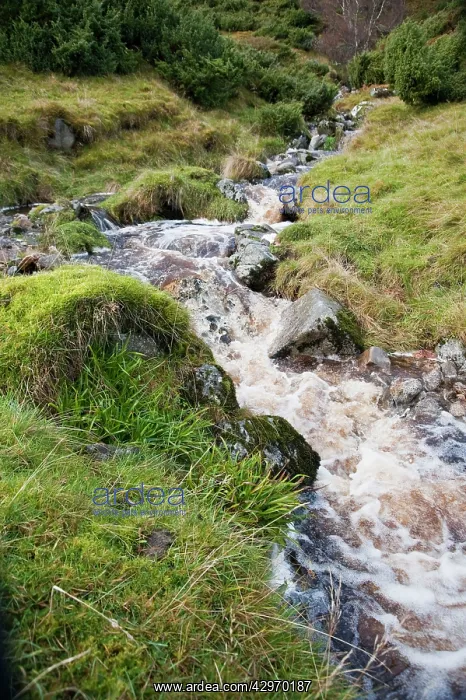 : Mountain stream : Mountain stream