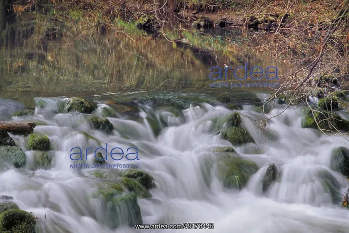 : Mountain stream, long exposure : Mountain stream, long exposure