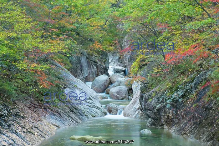 : Mountain stream in Seoraksan National Park, with : Mountain stream in Seoraksan National Park, with