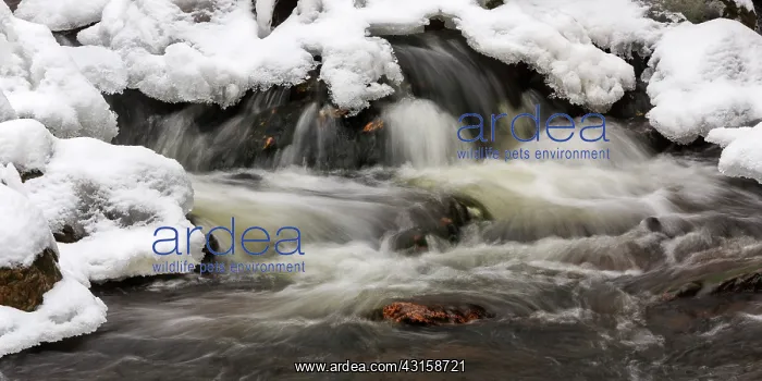  : Mountain stream in winter