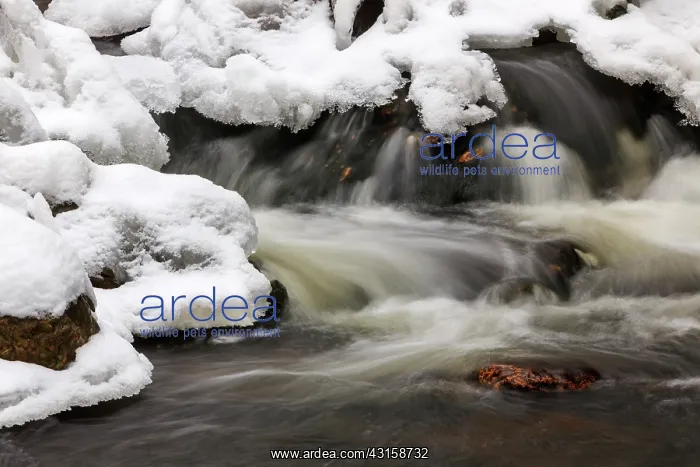 : Mountain stream in winter : Mountain stream in winter