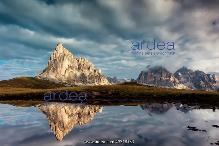 : Mountain summit reflected in a lake, Monte Nuvolau : Mountain summit reflected in a lake, Monte Nuvolau