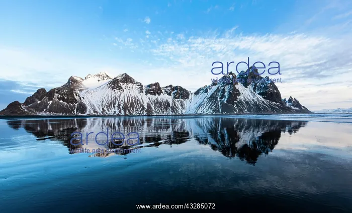 : Mountain Vestrahorn with water reflection in the : Mountain Vestrahorn with water reflection in the
