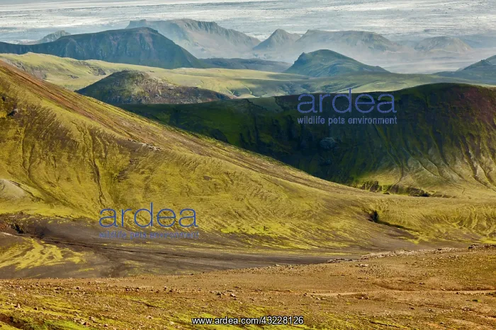 : Mountain vista, Iceland : Mountain vista, Iceland