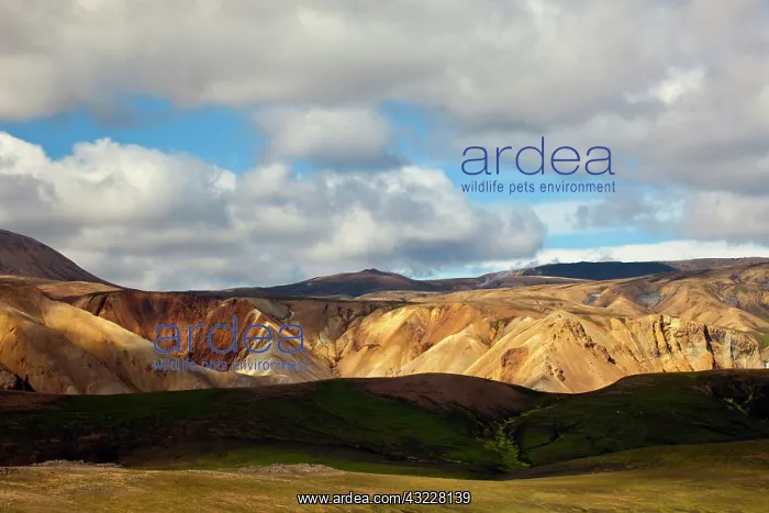 : Mountain vista, Iceland : Mountain vista, Iceland