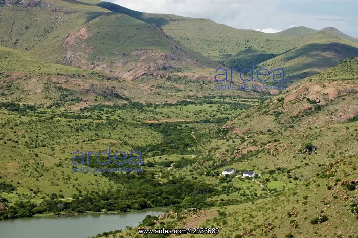 : Mountain Zebra National Park - view including Doornhoek : Mountain Zebra National Park - view including Doornhoek