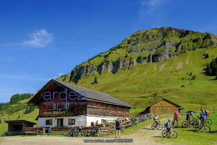  : Mountainbiker at Rotwandh&, x34d25b20;Rotwandalm
