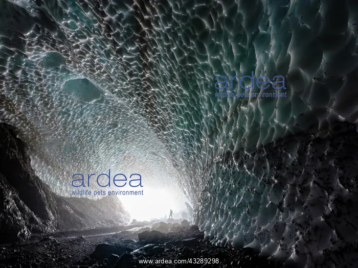 : Mountaineer in the ice chapel, ice field at the : Mountaineer in the ice chapel, ice field at the