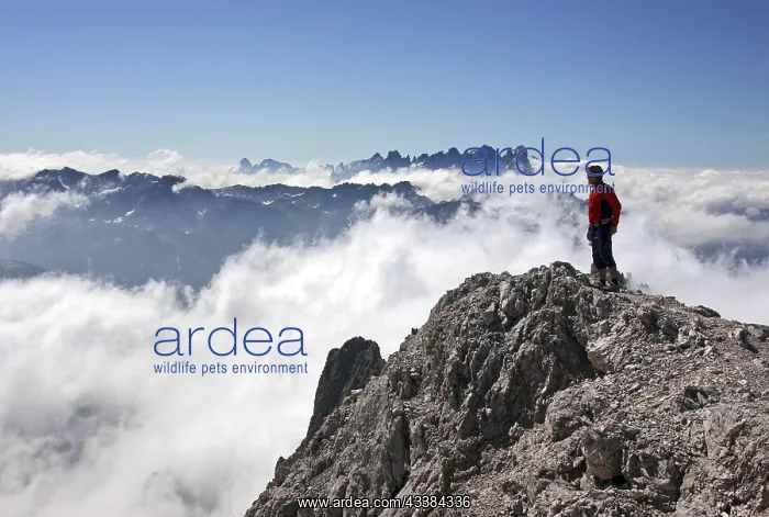 : Mountaineer looking from the Cima Scalieret over : Mountaineer looking from the Cima Scalieret over