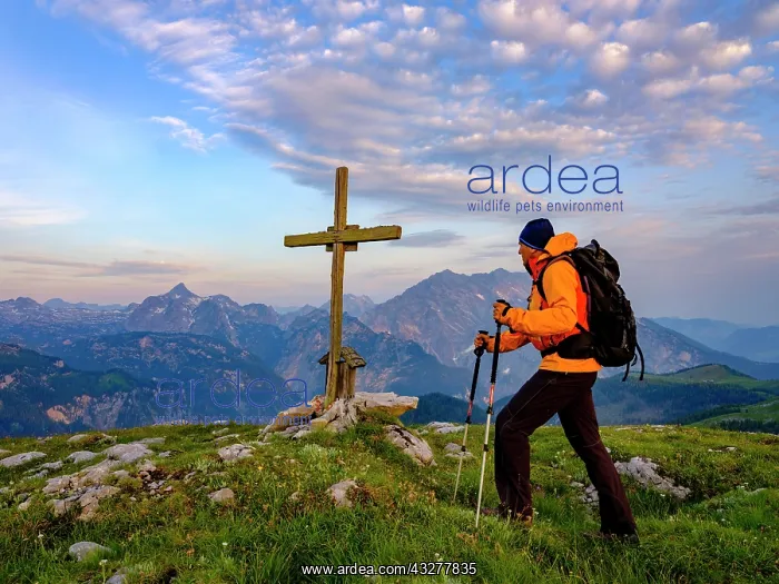  : Mountaineer at the summit cross of the Hochs&, x4d6c;