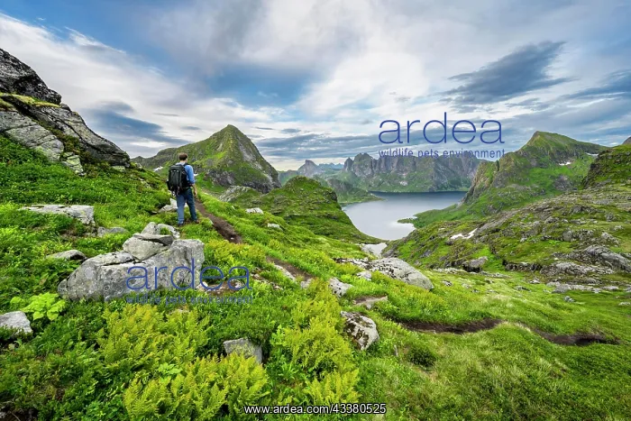 : Mountaineers climbing Hermannsdalstinden, view of : Mountaineers climbing Hermannsdalstinden, view of