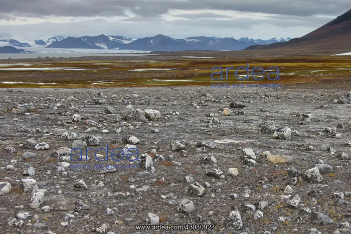  : Mountains and beach