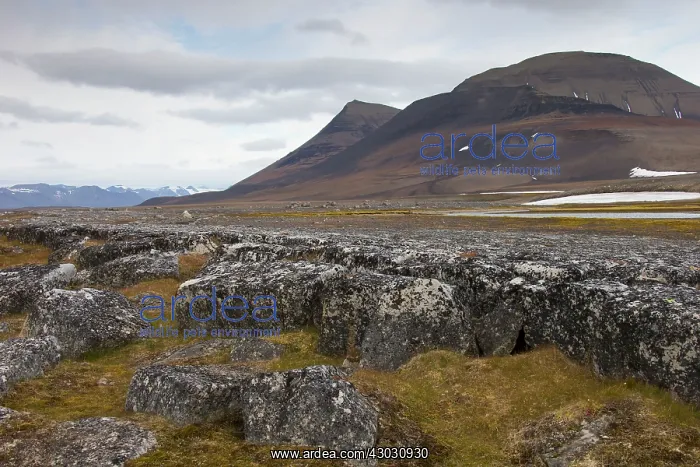 : Mountains and beach
