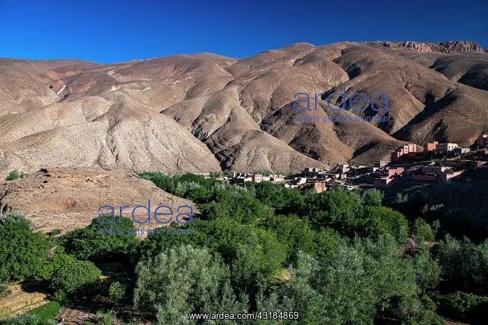 : Mountains, eroded landscape with river oasis and : Mountains, eroded landscape with river oasis and