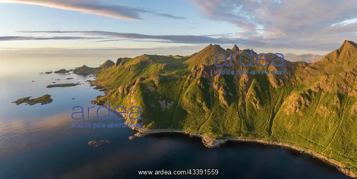 : Mountains by the fjord in the evening, coast near : Mountains by the fjord in the evening, coast near