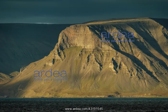 : Mountains and fjord in the evening light, Arnarfjnrdur : Mountains and fjord in the evening light, Arnarfjnrdur