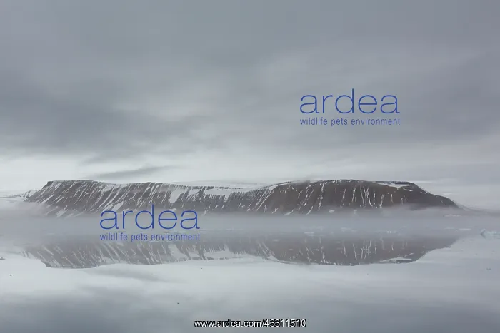 : Mountains and fog at Hinlopen Strait - Svalbard : Mountains and fog at Hinlopen Strait - Svalbard
