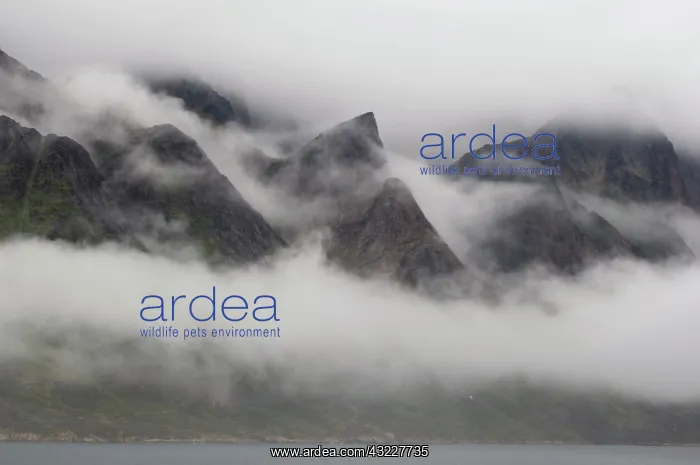 : Mountains in fog, Prince Christian Sound : Mountains in fog, Prince Christian Sound