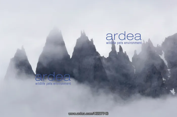 : Mountains in fog, Prince Christian Sound : Mountains in fog, Prince Christian Sound